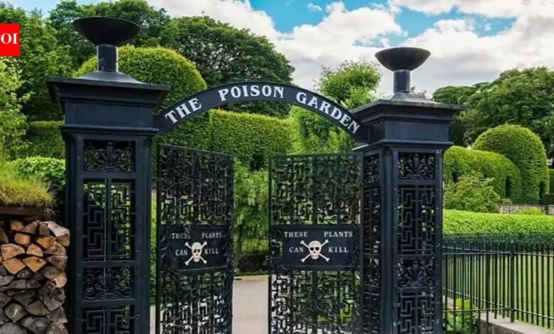 Alnwick Poison Garden: ഇംഗ്ലണ്ടിലെ Alnwick Poison Garden ഉള്ളിൽ, പൂട്ടിയിട്ടിരിക്കുന്ന ഗേറ്റുകൾക്ക് പിന്നിൽ അപകടകരമായ നൂറുകണക്കിന് ചെടികൾ വളരുന്നു, സന്ദർശകർ അവ തൊടുകയോ മണക്കുകയോ രുചിക്കുകയോ ചെയ്യരുതെന്ന് മുന്നറിയിപ്പ് നൽകുന്നു.