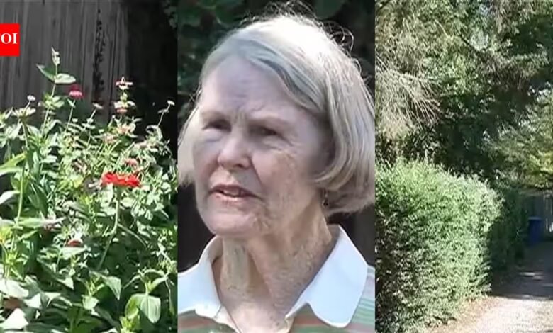 Monarch Butterflies: Virginia woman began planting flowers in a neglected alley in Roanoke; it became a stopover for Monarch butterflies, inspiring neighbours to contribute plants and create a pollinator habitat: How an ordinary urban space became an ecological refuge